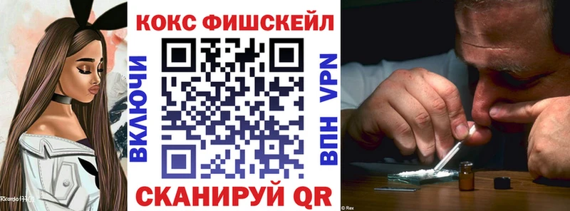 Cocaine FishScale  купить наркотик  Новозыбков 