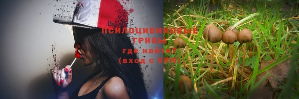 ALPHA PVP Балахна
