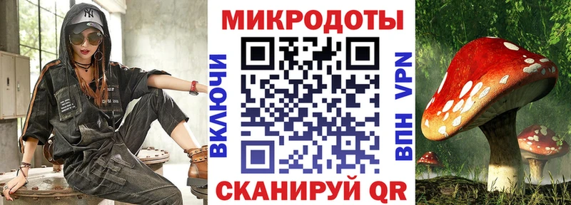 Псилоцибиновые грибы MAGIC MUSHROOMS  где купить наркотик  Новозыбков 